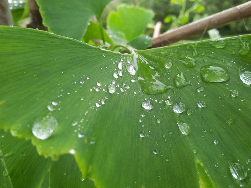 煮雪烹茶<br>qyf5seag.cn 围炉夜话雅集